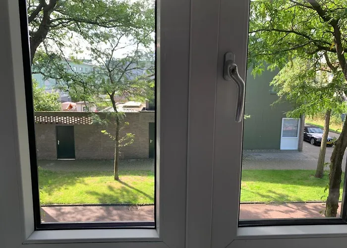 Hababa Short * Amsterdam